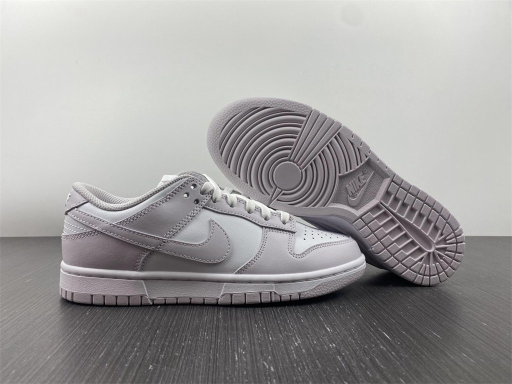 NIKE DUNK LOW  DD1503-116